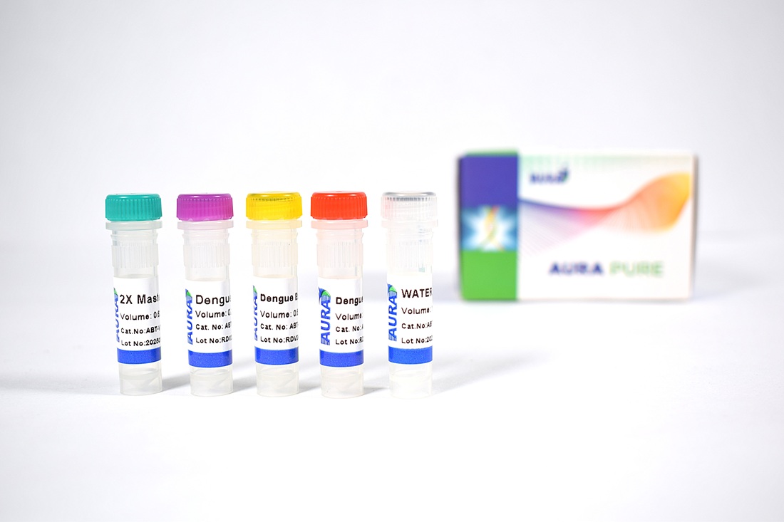 DENGUE